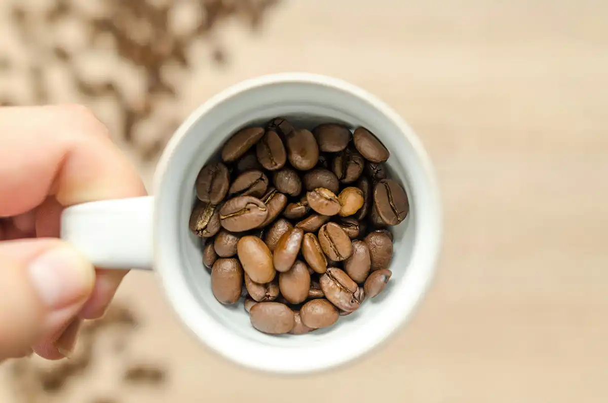 Мы теперь на Buy Me a Coffee! Поддержите нас книгой